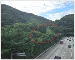  2024Ÿ6023   д籸 ߵ 573-1      (Ӿ)