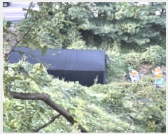  2024Ÿ6023   д籸 ߵ 573-1      (Ӿ)