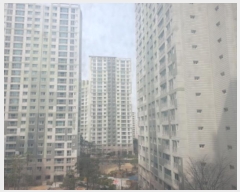  2024Ÿ54626    ߾ӷ 216, 5303 7701ȣ (â, ȣݽ ) Ʈ