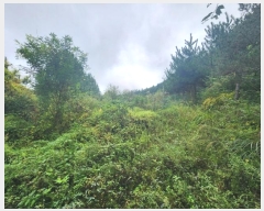  2024Ÿ��63149  ���(�󰡽ü�)���