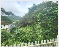  2024Ÿ��63149  ���(�󰡽ü�)���