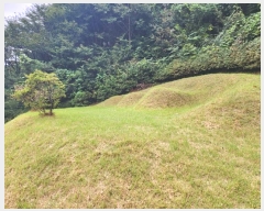  2024Ÿ��63149  ���(�󰡽ü�)���