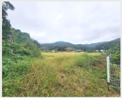  2024Ÿ��63149  ���(�󰡽ü�)���