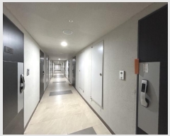  2024Ÿ68311  ϳ ̻簭߾ӷ 190, 4434ȣ (,ϳ̻ԵĳŸ)     ǽڰ