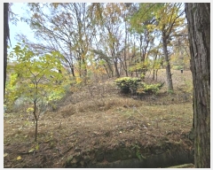  2024Ÿ��69123 ��� ������ �д籸 ������ 277      ����(��1)���