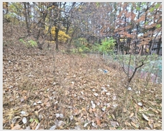  2024Ÿ��69123 ��� ������ �д籸 ������ 277      ����(��1)���