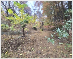  2024Ÿ��69123 ��� ������ �д籸 ������ 277      ����(��1)���