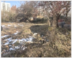  2024Ÿ��69598  �����