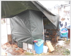  2024Ÿ��69598  �����