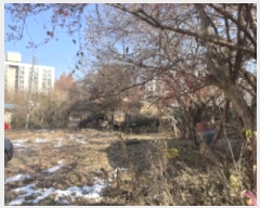  2024Ÿ��69598  �����