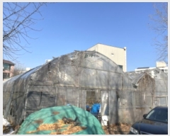  2024Ÿ��69598  �����