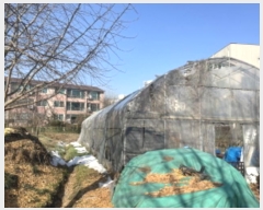  2024Ÿ��69598  �����