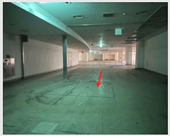  2024Ÿ��4447  �ٸ��󰡰��