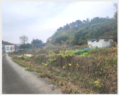  2024Ÿ��6733  ����