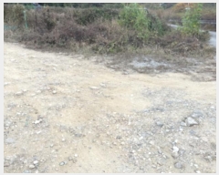  2024Ÿ��6733  ����