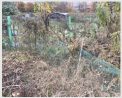  2024Ÿ��6733  ����