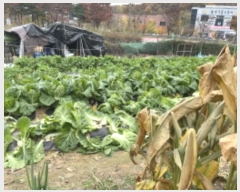  2024Ÿ��6733  ����