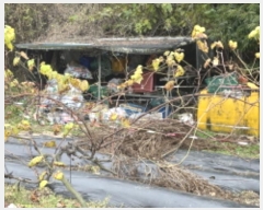  2024Ÿ��6733  ����