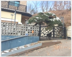  2024Ÿ��7477 ��� ���ֽ� ������ 356-50       ���ð��