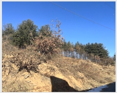  2024Ÿ��7552  �Ӿ߰��