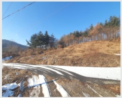  2024Ÿ��7552  �Ӿ߰��