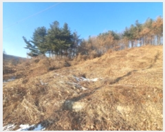  2024Ÿ��7552  �Ӿ߰��