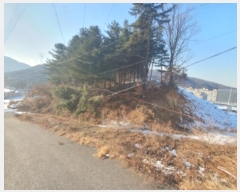  2024Ÿ��7552  �Ӿ߰��