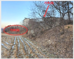  2024Ÿ��50594 ��� ���ֽ� ��ô�� �浵�� 84-4      ����(�Ӿ�)���