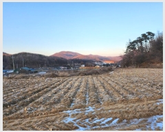  2024Ÿ��50594 ��� ���ֽ� ��ô�� �浵�� 84-4      ����(�Ӿ�)���