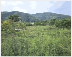  2024Ÿ��56622 ��� ���ֽ� ȸ���� 156-3       ����(������)���