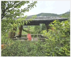  2024Ÿ��56622 ��� ���ֽ� ȸ���� 156-3       ����(������)���