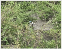  2024Ÿ��56622 ��� ���ֽ� ȸ���� 156-3       ����(������)���