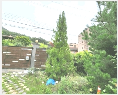  2024Ÿ��56622 ��� ���ֽ� ȸ���� 156-3       ����(������)���