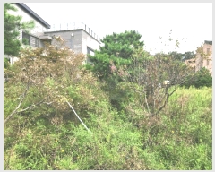  2024Ÿ��56622 ��� ���ֽ� ȸ���� 156-3       ����(������)���