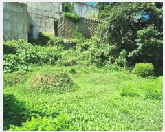  2024Ÿ��65084  �����