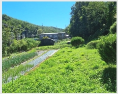  2024Ÿ��65084  �����