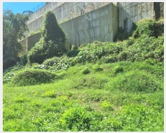  2024Ÿ��65084  �����