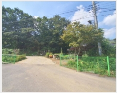  2024Ÿ��65084  �����