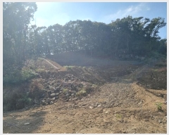  2024Ÿ��67769  �Ӿ߰��