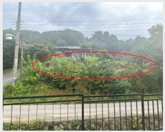  2024Ÿ��67936  �������