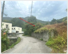  2024Ÿ��67936  �������