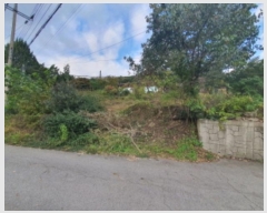  2024Ÿ��67936  �������