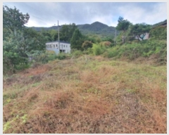  2024Ÿ��67936  �������