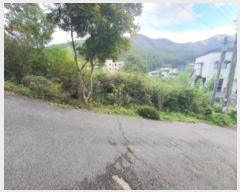  2024Ÿ��67936  �������