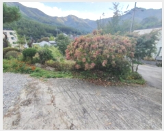  2024Ÿ��67936  �������