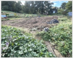  2024Ÿ68076  ϳ ϵ 312       (1)