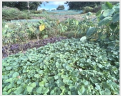  2024Ÿ68076  ϳ ϵ 312       (1)