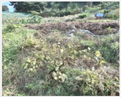  2024Ÿ68076  ϳ ϵ 312       (1)