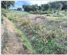  2024Ÿ68076  ϳ ϵ 312       (1)