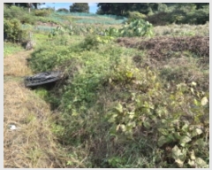  2024Ÿ68076  ϳ ϵ 312       (1)